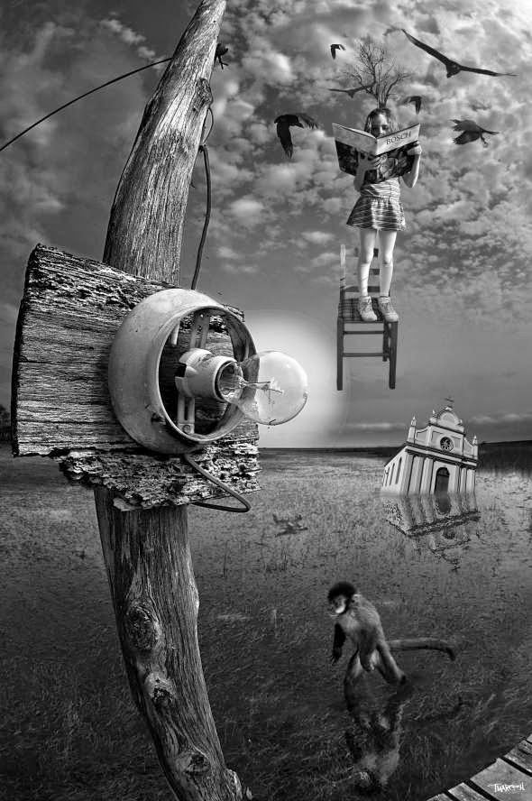 Retratos de poetas e poetas: Cecília Meireles, Drummond, Adélia Prado, João Cabral, Conceição Evaristo, Emily Dickinson e outros