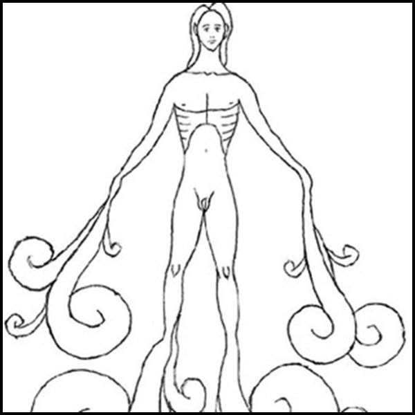 O menino de água-Valter Hugo Mãe