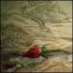 O Rouxinol e a Rosa- conto de Oscar Wilde