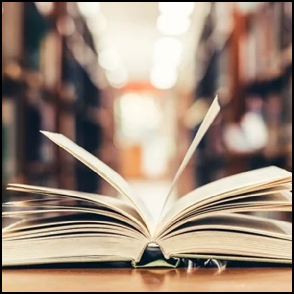 A Essencial "Inutilidade" da Literatura: Por Que Ela Move a Consciência Humana