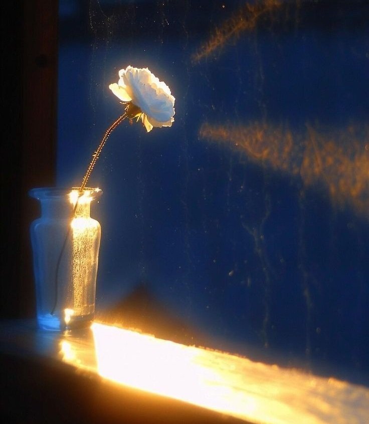 Imagem ilustrativa para o poema A Prima de Celso de Alencar, com cores sutis